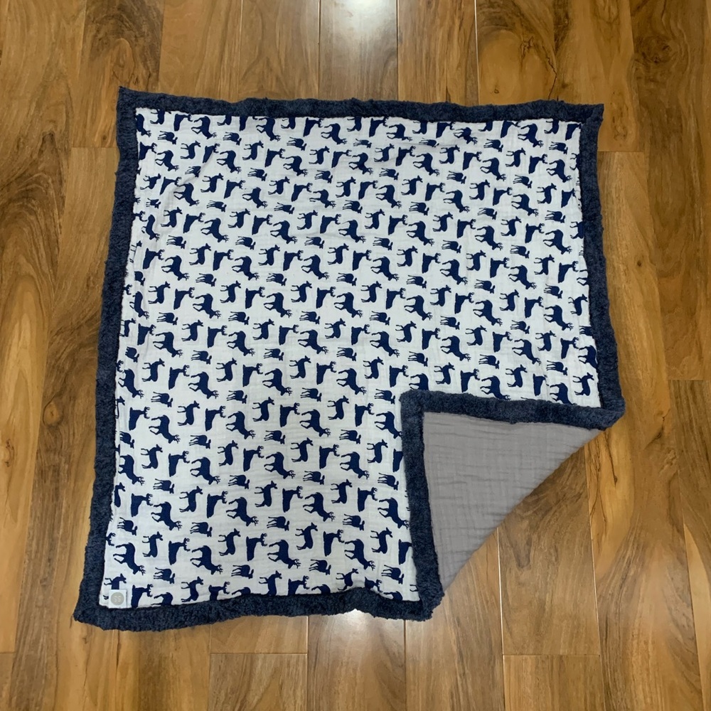 VGUC Double Muslin w Minky Trim Blanket